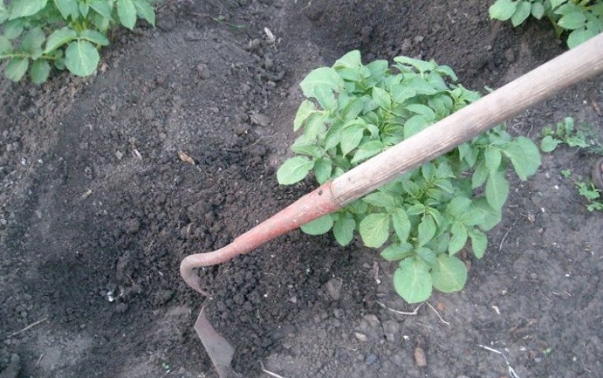 Розпушування грунту