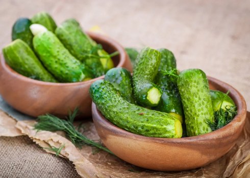 Приготування малосольних огірків холодним способом