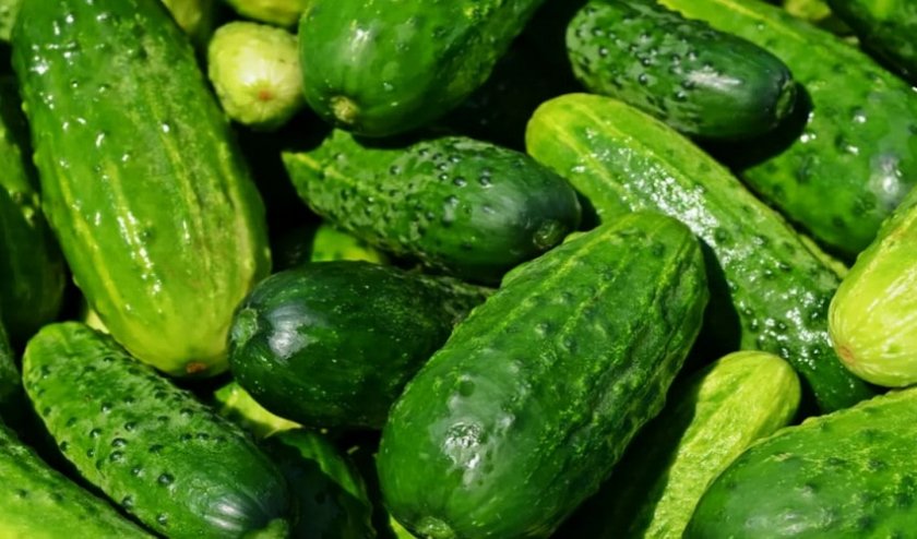 Маринованные крупные огурцы Маринованные крупные огурцы