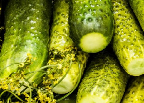 Як засолити на зиму огірки з лимонною кислотою