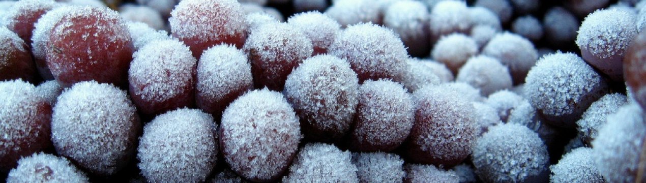 Чи можна заморозити виноград на зиму в морозильній камері?