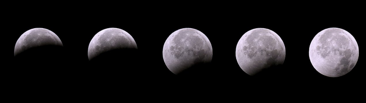 Коли найкраще прибирати картоплю за місячним календарем