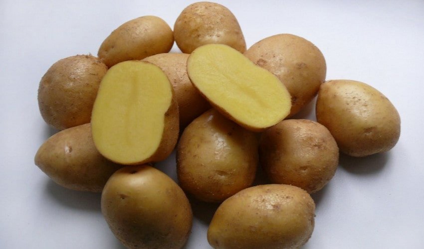 Картопля Невський