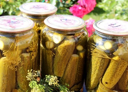 Як смачно замаринувати огірки з яблучним оцтом