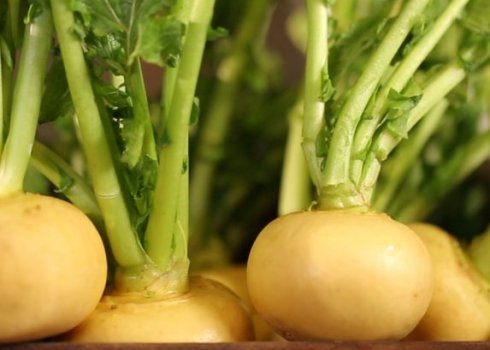 Корисні властивості ріпи для жіночого організму