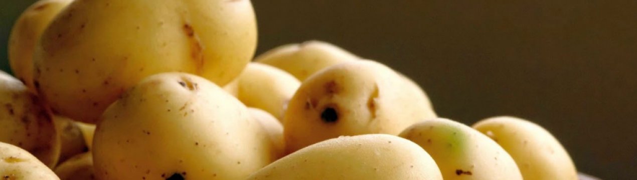 Основные причины потемнения картофеля