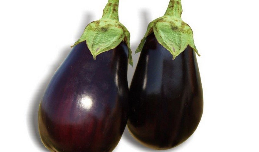 Баклажан Клорінда Баклажан Клорінда