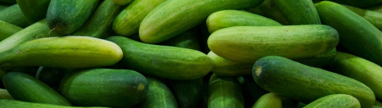 Особливості консервації гірких огірків