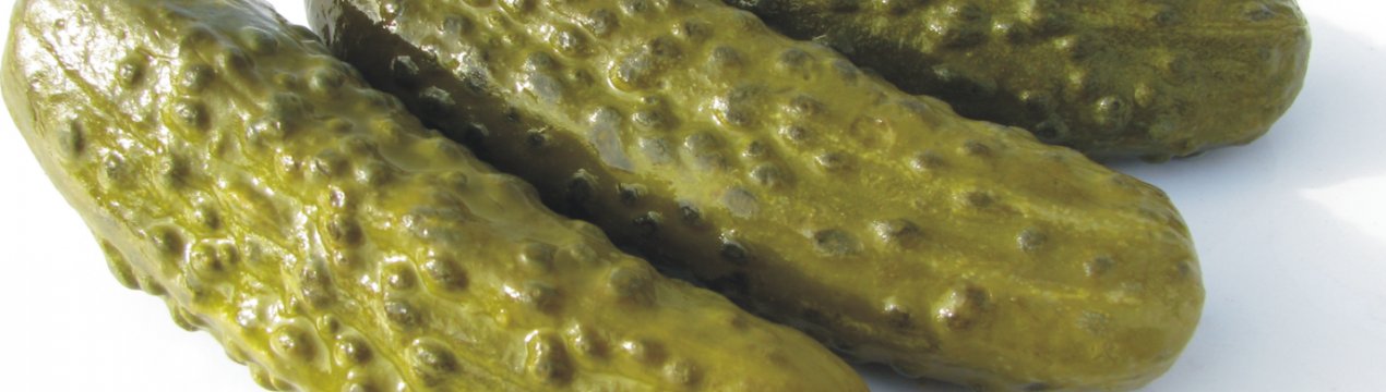 Як солити огірки холодним способом під капронову кришку