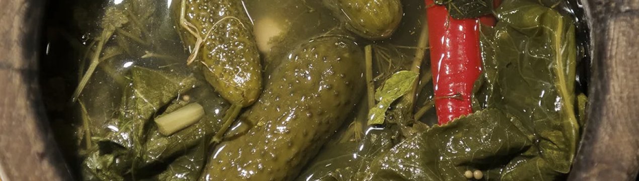 Як засолити огірки у відрі холодним способом