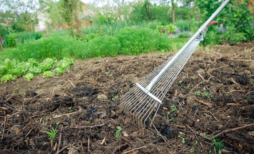 Вимоги до грунті