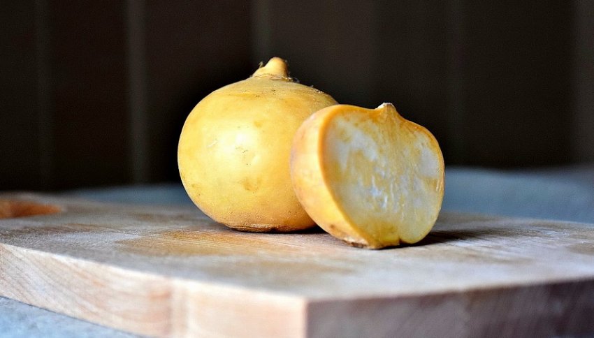 М'якоть ріпи