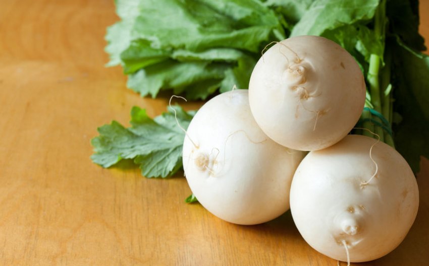 Ріпа білосніжка