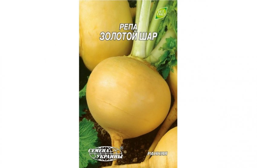 Ріпа золотий кулю