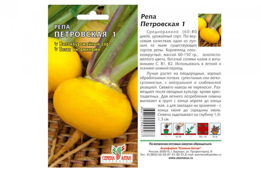 Ріпа петровська-1