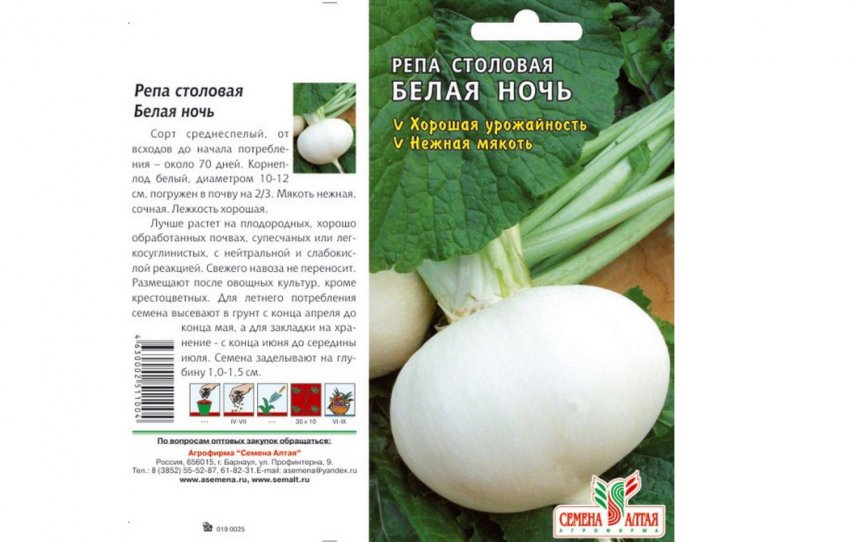 Ріпа біла ніч