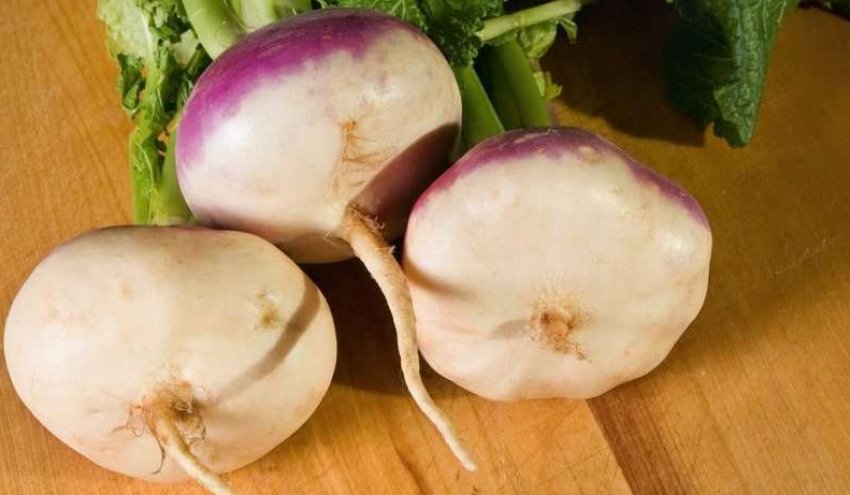 Ріпа міланська рожева