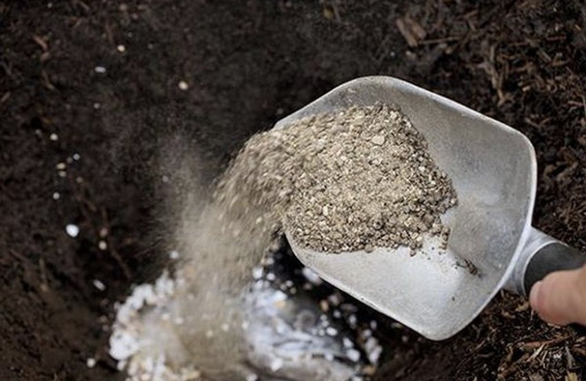 Деревна зола для підгодівлі Деревна зола для підгодівлі