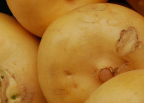 Ріпа користь і шкоду для здоров'я чоловіків