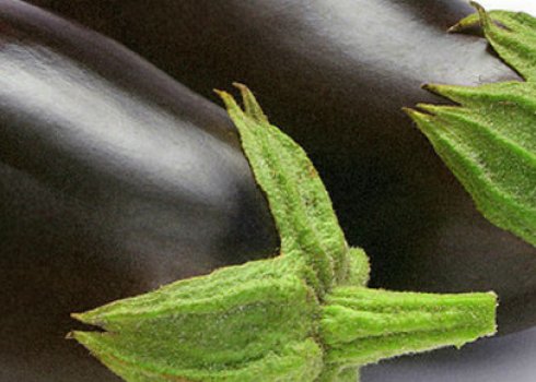 Особливості сорти баклажана Чорний красень