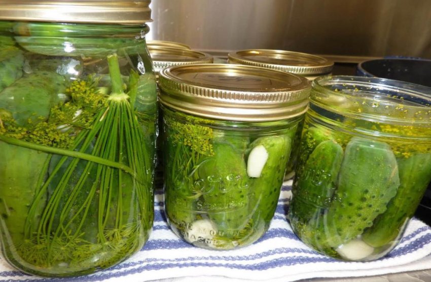 Огірки Огірки