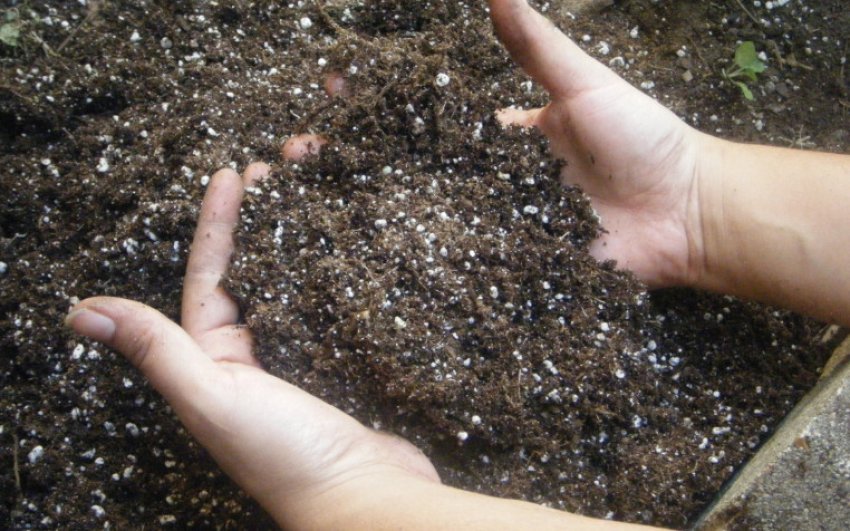 Добриво Добриво