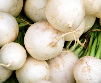 Можна їсти ріпу сирої і як правильно його вживати