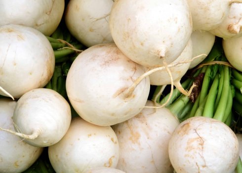 Можна їсти ріпу сирої і як правильно його вживати