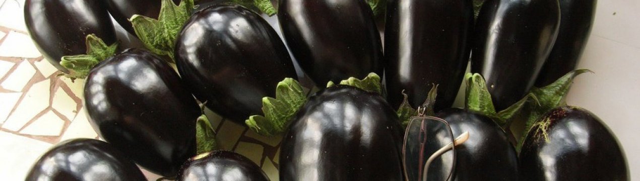  Вирощування баклажана Лускунчик