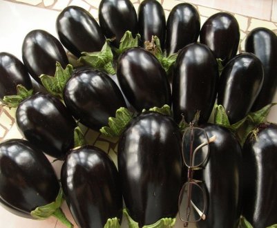 Вирощування баклажана Лускунчик