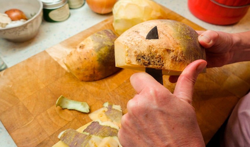 Ріпа в кулінарії