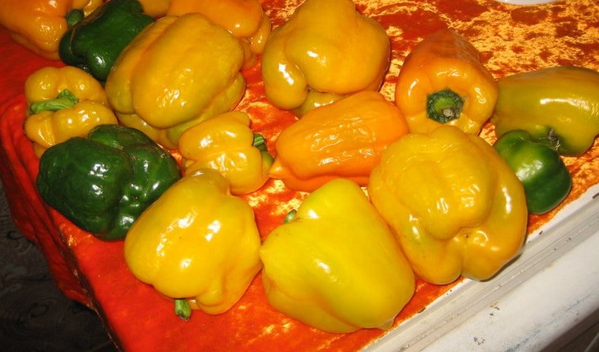 Перець Золоте диво