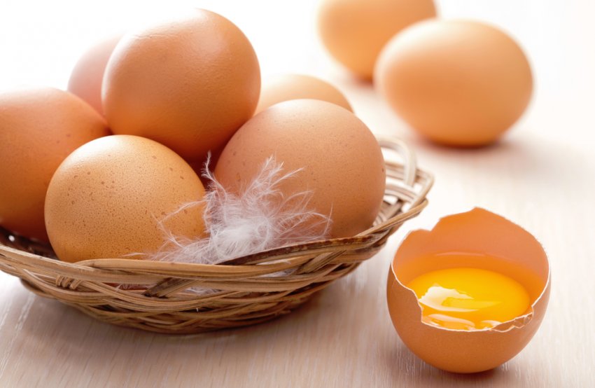 Куриные яйца для мужчин
