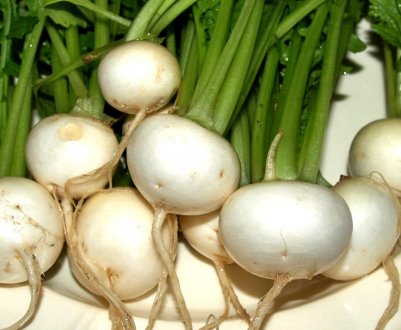 Як правильно заморожувати ріпу