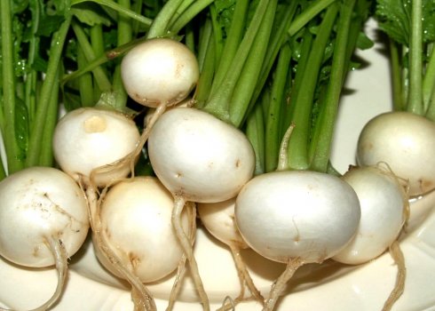 Як правильно заморожувати ріпу