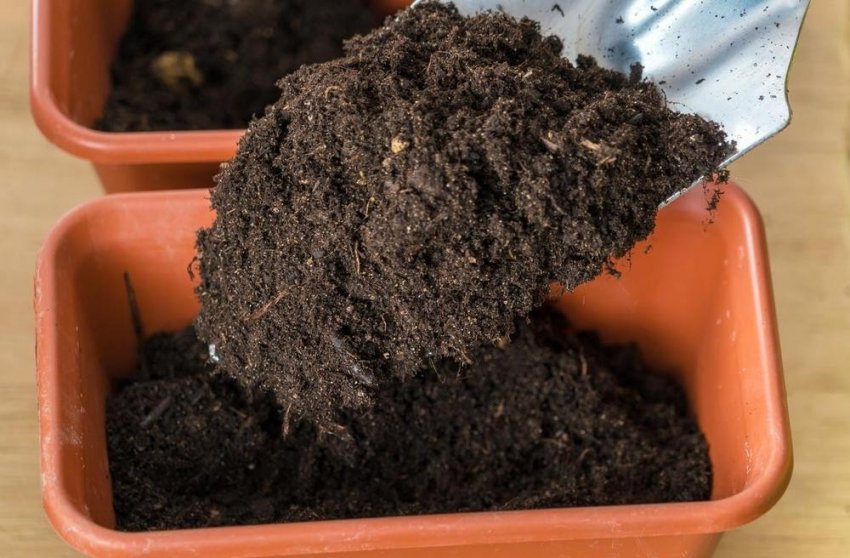 Підготовка землі для розсади