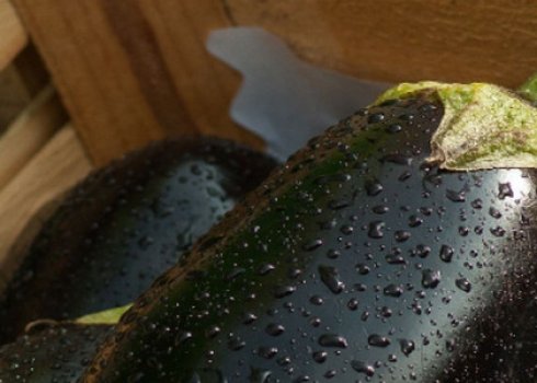 Как часто поливать баклажаны