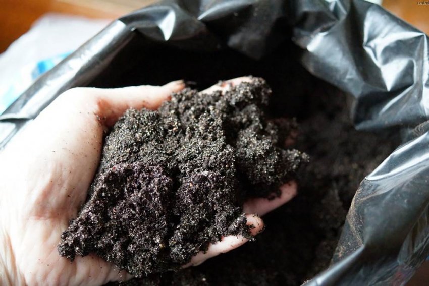 Підготовка землі для розсади Підготовка землі для розсади