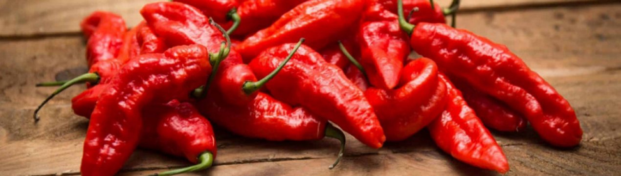 Як виростити перець чилі вдома на підвіконні з насіння