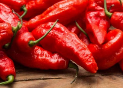 Як виростити перець чилі вдома на підвіконні з насіння