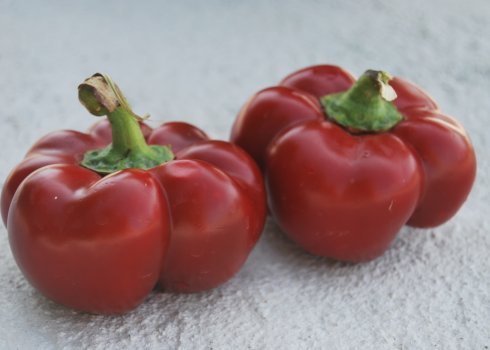 Смачні рецепти заготовок перцю Ратунда на зиму