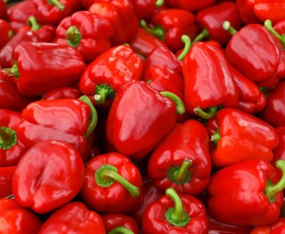 Перець Сибірський князь: опис і вирощування сорту