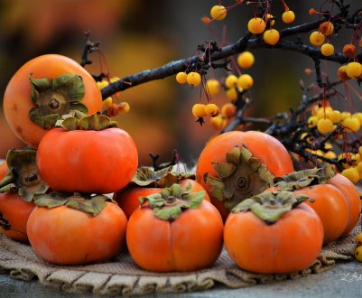 Українці вирощують у своїх садах хурму нового покоління