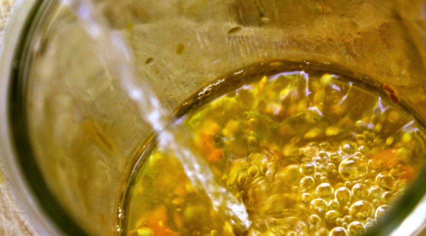 Підготовка насіння перцю до посіву Підготовка насіння перцю до посіву