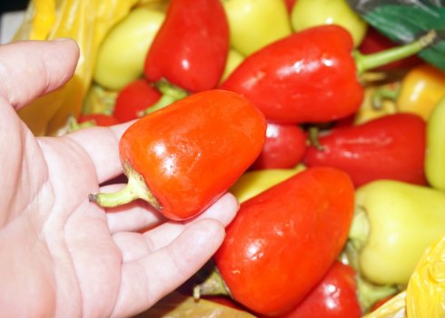 Чи можна заморозити перець свіжим на зиму для фарширування