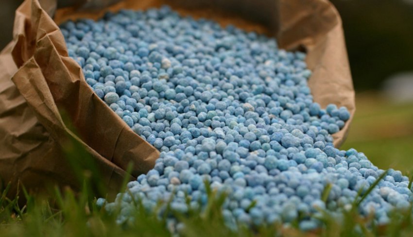 Азотні добрива