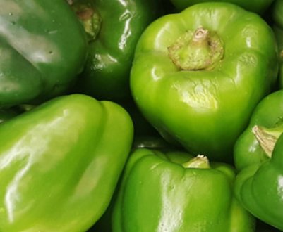 Зелений болгарський перець: користь, шкоду та особливості застосування