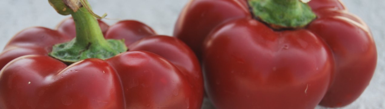 Перець Новогогошари: опис та характеристика сорту