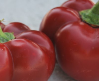 Перець Новогогошари: опис та характеристика сорту