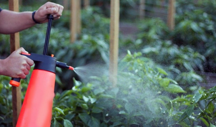 Обприскування